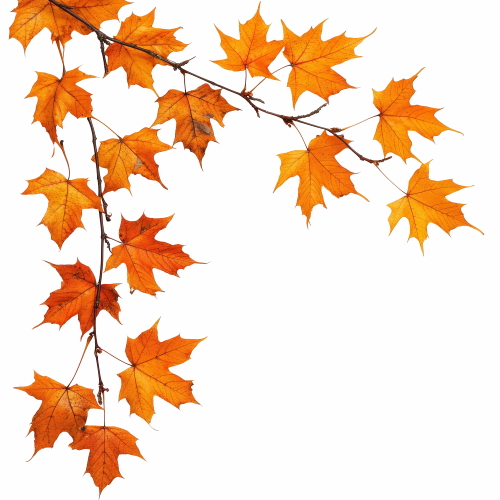 Autumn Falling Leaves 24xPNG, 1xAI