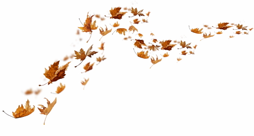 Autumn Falling Leaves 24xPNG, 1xAI