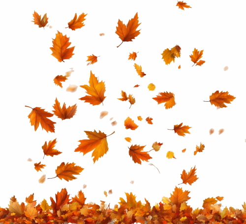 Autumn Falling Leaves 24xPNG, 1xAI