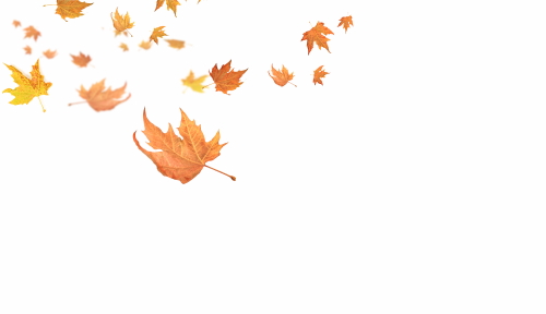 Autumn Falling Leaves 24xPNG, 1xAI