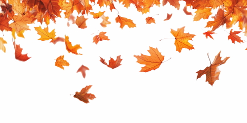 Autumn Falling Leaves 24xPNG, 1xAI