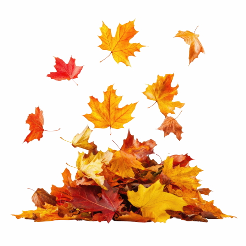 Autumn Falling Leaves 24xPNG, 1xAI