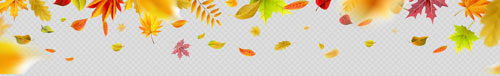 Autumn Falling Leaves 24xPNG, 1xAI