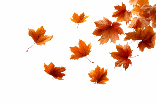 Autumn Falling Leaves 24xPNG, 1xAI