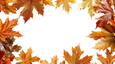Autumn Frames 25xPNG