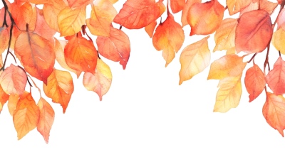 Autumn Frames 25xPNG