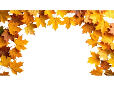 Autumn Frames 25xPNG