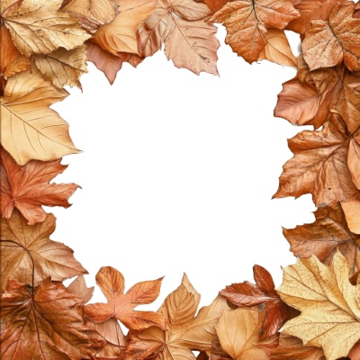 Autumn Frames 25xPNG