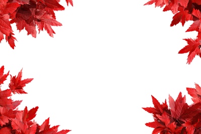 Autumn Frames 25xPNG