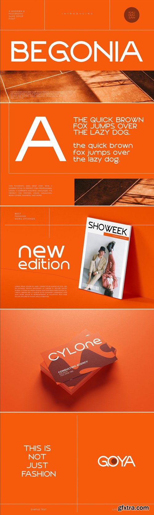 CreativeMarket - Begonia