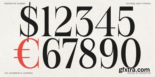 MyFonts - Figo Shiftz Editorial Font Family 20xOTF MyFonts - Figo Shiftz Editorial Font Family 20xOTF