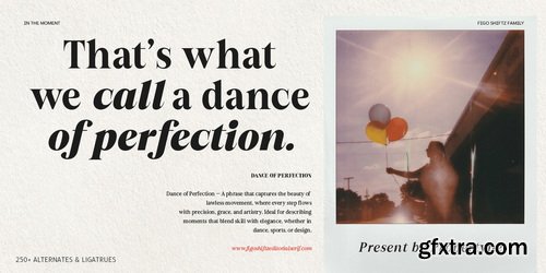 MyFonts - Figo Shiftz Editorial Font Family 20xOTF MyFonts - Figo Shiftz Editorial Font Family 20xOTF