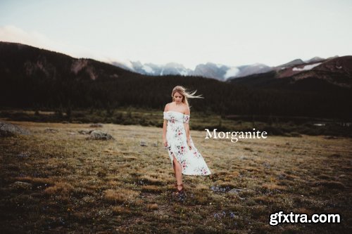 Twig & Olive Photography - Spring Gem Presets