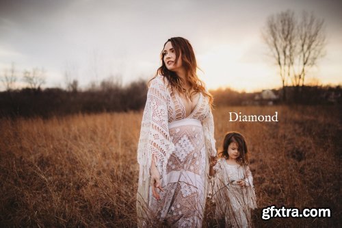 Twig & Olive Photography - Spring Gem Presets