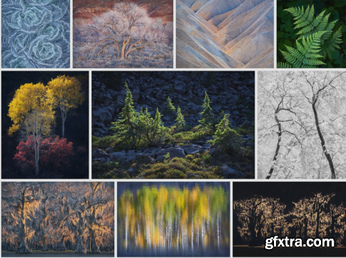 Alex Noriega Photography - Simplify Tutorial