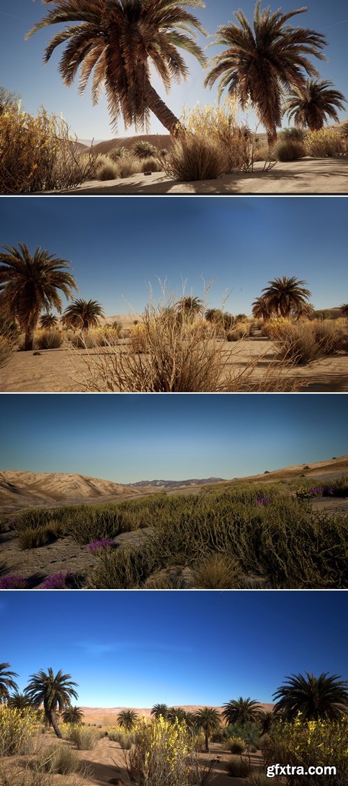 Desert Vegetation (5.0+) for Unreal Engine
