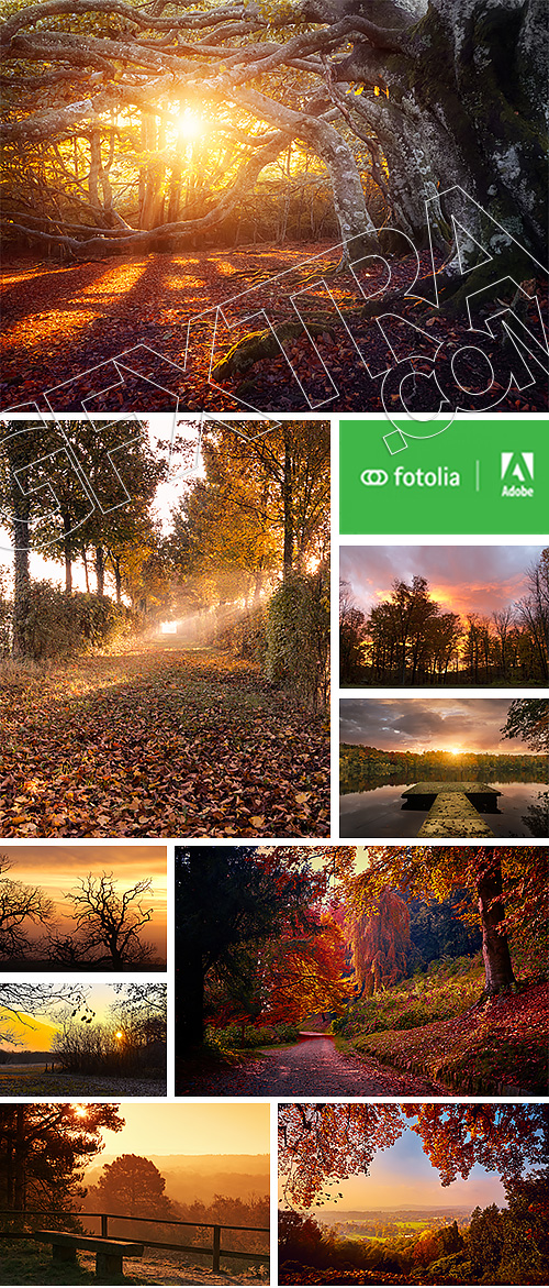 Beautiful Autumn Forest & Landscape #2, 25xJPG