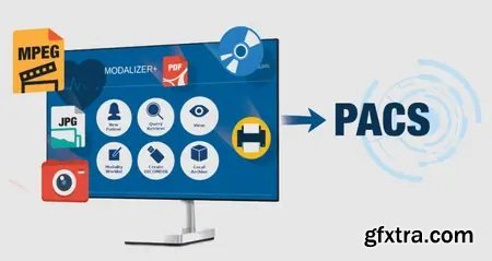 MODALIZER Plus 6.1.0