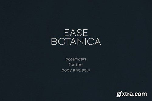 CreativeMarket - Calvia Minimalist Sans Serif Font