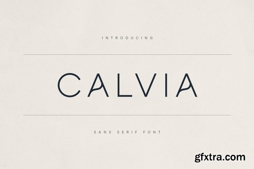 CreativeMarket - Calvia Minimalist Sans Serif Font