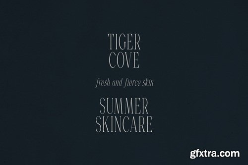 CreativeMarket - Veliora Elegant Long Serif