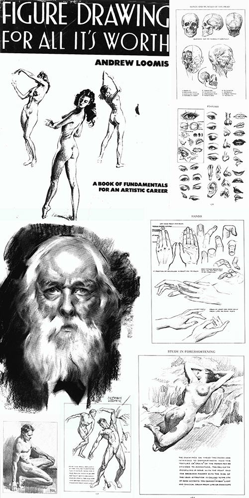 Andrew Loomis-Figure Draw For All It's Worth