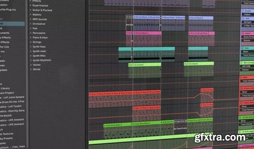 Perry Wayne Ableton Template (2025)