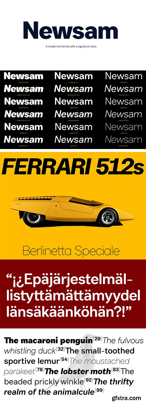 Newsam Font Family 18xOTF Newsam Font Family 18xOTF