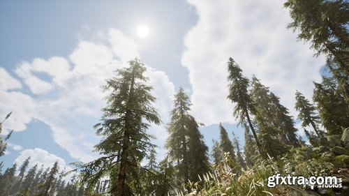 Fab - Hemlock Forest / Jungle