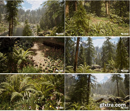 Fab - Hemlock Forest / Jungle