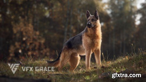 Vfx Grace - German Shepherd Animation | Realistic Rigged 3D Model for Blender
