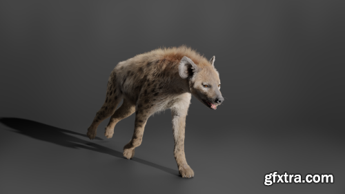 Vfx Grace - 3D Animal | Spotted Hyena Animated