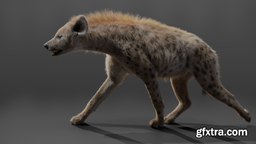 Vfx Grace - 3D Animal | Spotted Hyena Animated