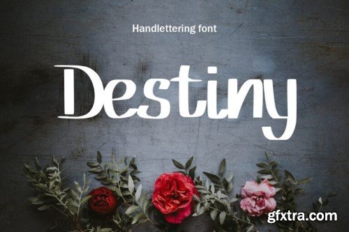 Eldamar Studio - 200 Unique Fonts Bundle