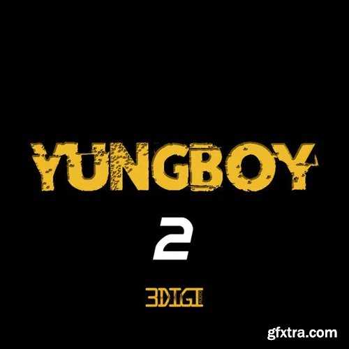 3 Digi Audio Yungboy 2