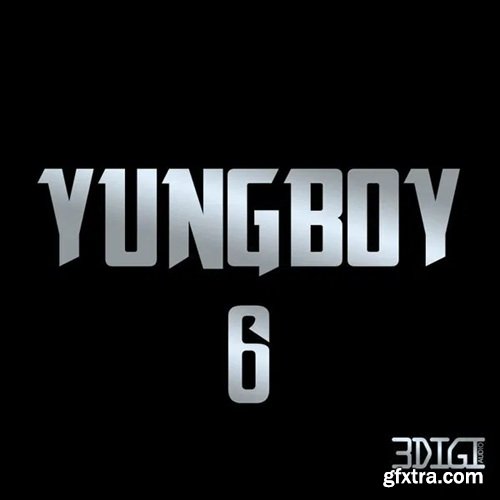 3 Digi Audio Yungboy 6