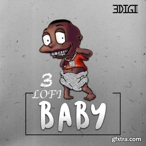 3 Digi Audio Lofi Baby 3