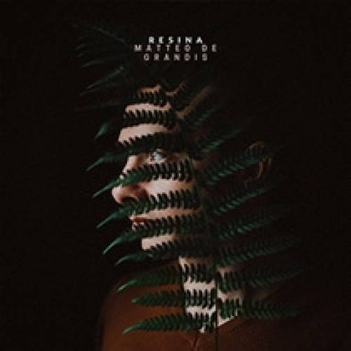 'Audiio - Leaf (Instrumental) - Matteo De Grandis'