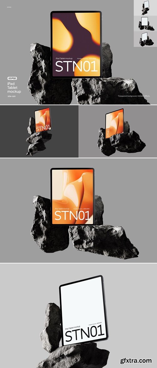 Pixelbuddha - Standing iPad Mockup Set 5447