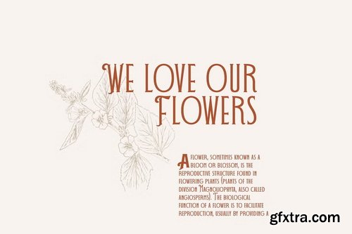 CreativeMarket - DECOHEAD Serif Elegant Art Deco Font