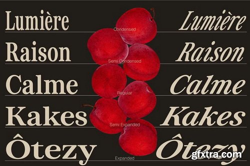 CreativeMarket - ZT Otez Retro Serif - 90 fonts