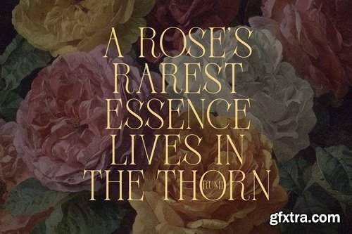 CreativeMarket - Thornfield Classy Serif Typeface