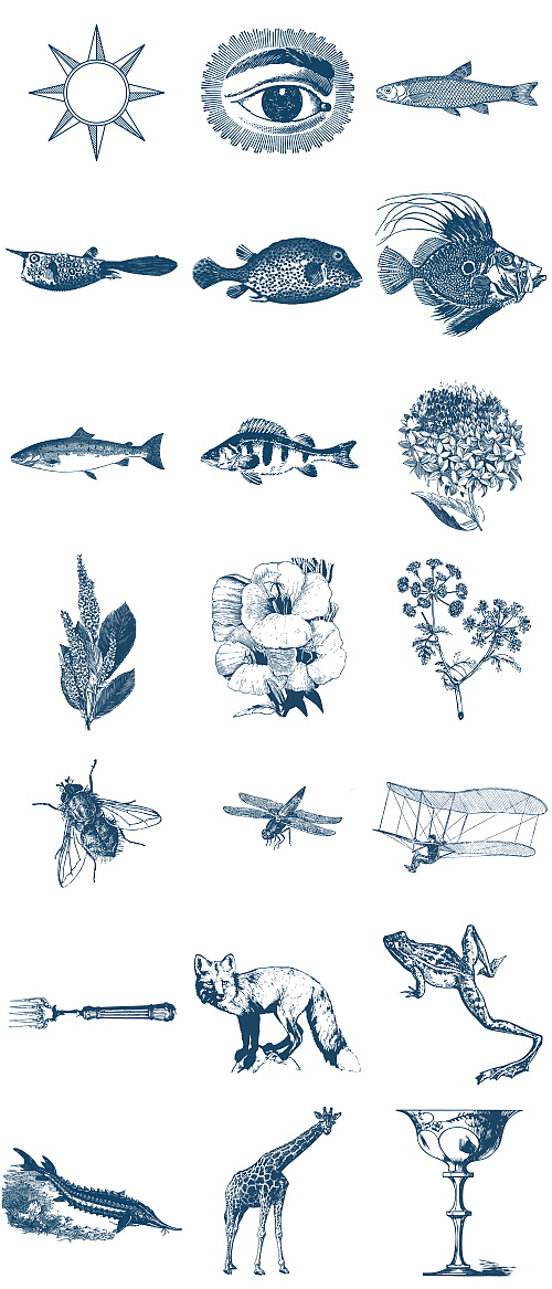 60 Vintage Nautical Vectors 199839