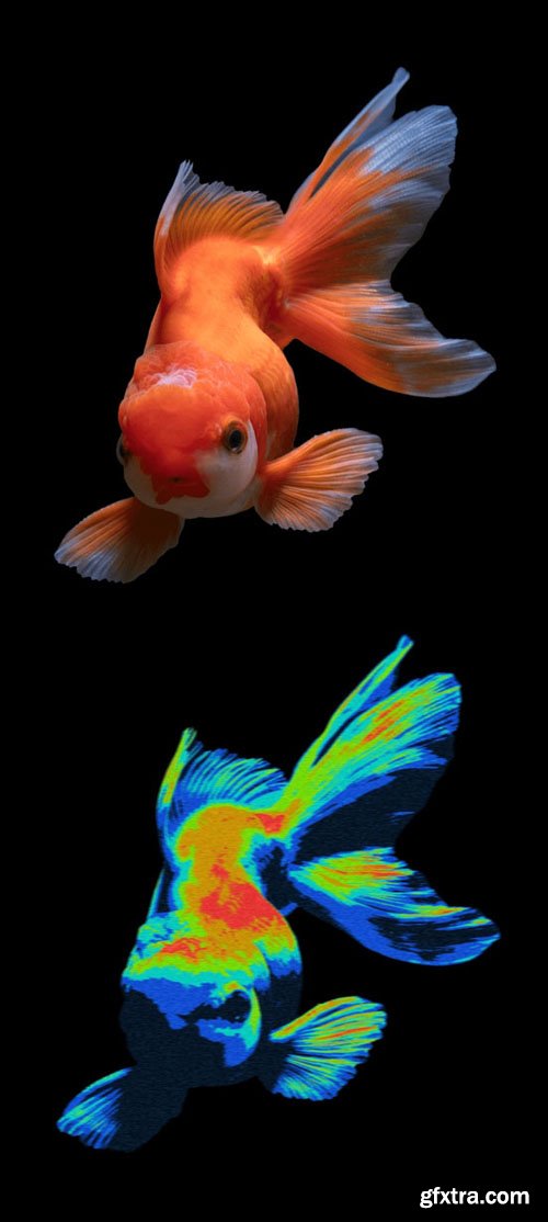 Cool Heatmap Action for Photoshop