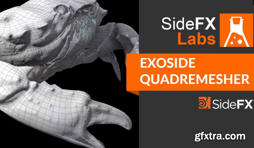 QuadRemesher V1.2 For Houdini