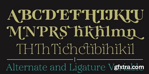 MyFonts - Quirlone Font Family 20xOTF