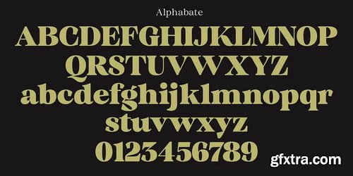 MyFonts - Quirlone Font Family 20xOTF