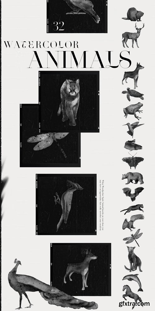 CreativeMarket - Spirit animals. Oracle cards 5874936