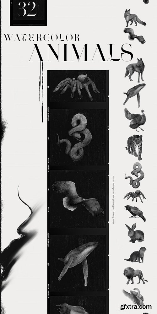 CreativeMarket - Spirit animals. Oracle cards 5874936