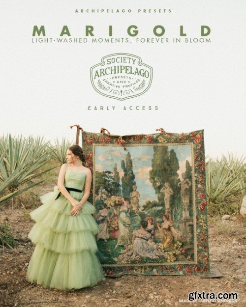 Archipelago - Marigold Lightroom Presets